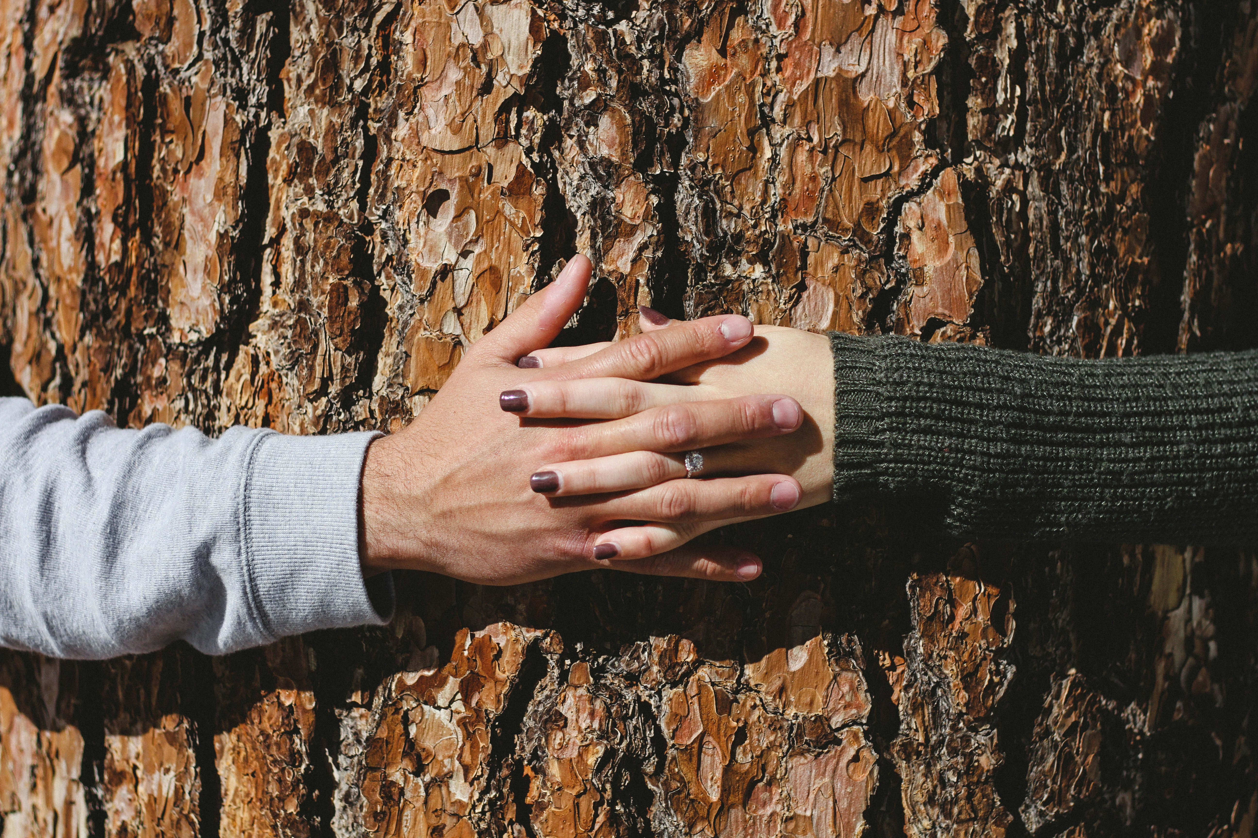 holding hands around a tree trunk